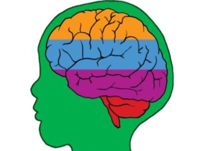Head with coloured brain